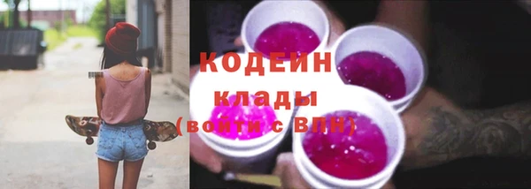 дмт Богданович