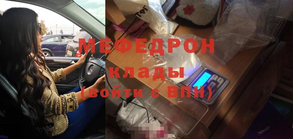 дмт Богданович